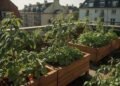 Biogarten 2026: Warum Städter selbst anbauen