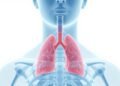 Obstruktive Schlafapnoe: Ursachen, Formen, Diagnose und Behandlungsoptionen 2026