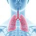 Obstruktive Schlafapnoe: Ursachen, Formen, Diagnose und Behandlungsoptionen 2026