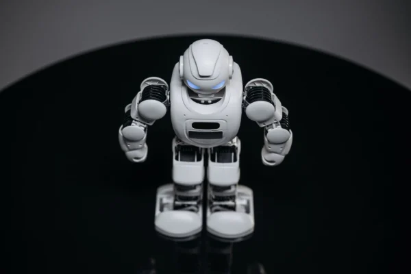 Humanoide Roboter: Vom Nischenprodukt zum Konsumgut