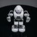 Humanoide Roboter: Vom Nischenprodukt zum Konsumgut