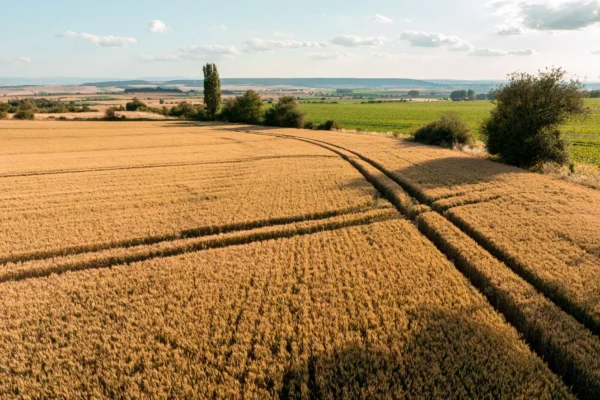 Neue Restwertbörse für Landmaschinen startet