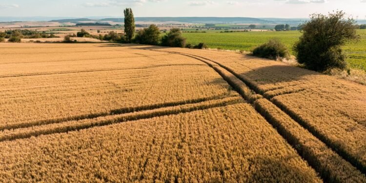 Neue Restwertbörse für Landmaschinen startet
