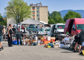 Haushaltsauflösung Heidelberg: Was Sie beim Umgang mit Wertgegenständen beachten sollten